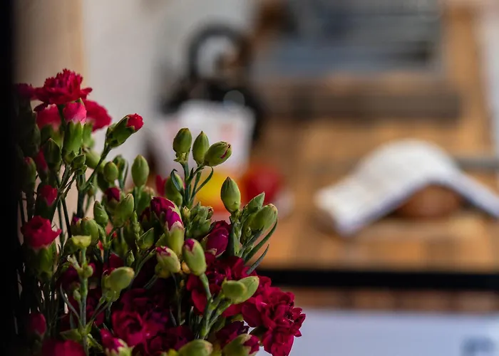 Leśny Zakątek Kemping